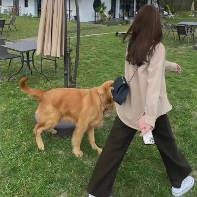 兵马俑揭秘