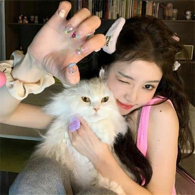 派特森与芬达猫：生日奇闻